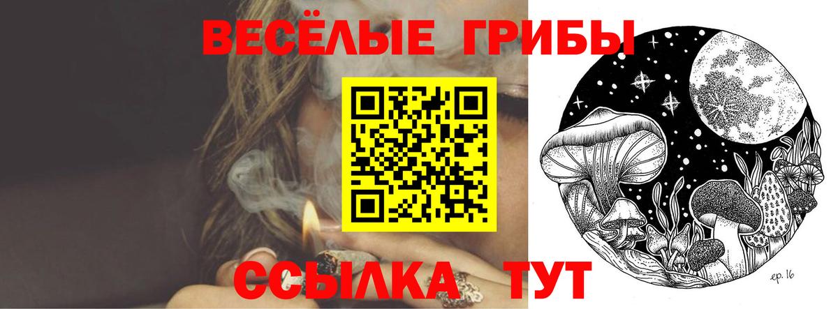 Псилоцибиновые грибы ЛСД Клинцы
